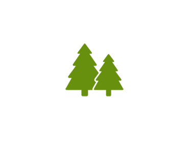 sapin